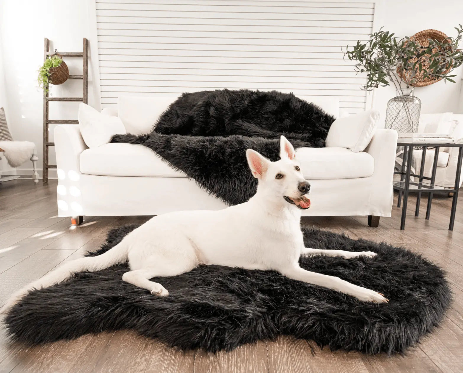 PupRug by Paw.com™  Faux Fur Orthopedic Dog Bed - Curve Midnight Black Paw.com