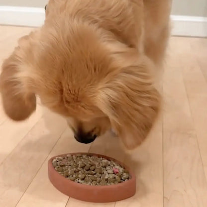 FreezFootball - Tough Enrichment Football Toy Freezbone