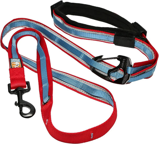 6 in 1 Hands Free Dog Leash |Reflective Running Belt Leash for Dogs |Crossbody & Waist Belt Leash |Carabiner Clip |Padded Handle for Training, Hiking or Jogging |Quantum Leash |6 Colors