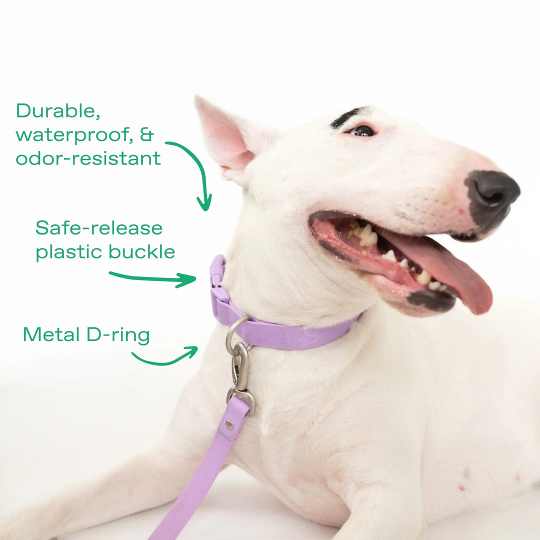 Original Waterproof Dog Collar