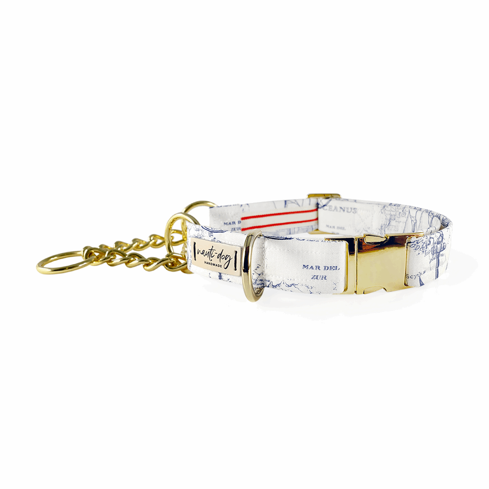 Carta Marina Light Vintage Nautical Toile Buckle & Martingale Dog Collar Nauti-dog Handmade