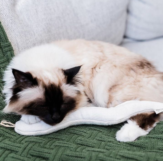 Boba & Vespa Snake Toy for Cats in Cotton with Buckwheat Crinkles and Organic Catnip The Kind Pet