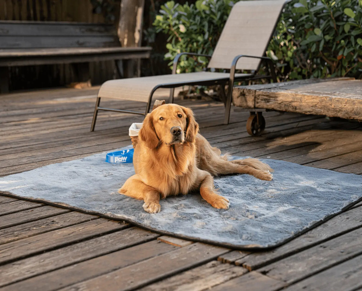 PupProtector™ Summer Short Fur Waterproof Throw Blanket - Charcoal Grey