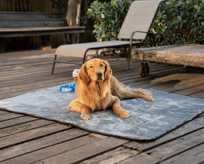 PupProtector™ Summer Short Fur Waterproof Throw Blanket - Charcoal Grey Paw.com
