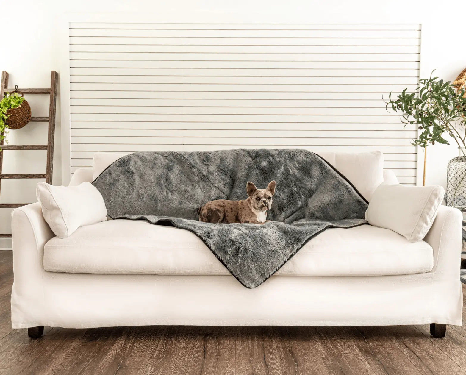 PupProtector™ Summer Short Fur Waterproof Throw Blanket - Charcoal Grey Paw.com