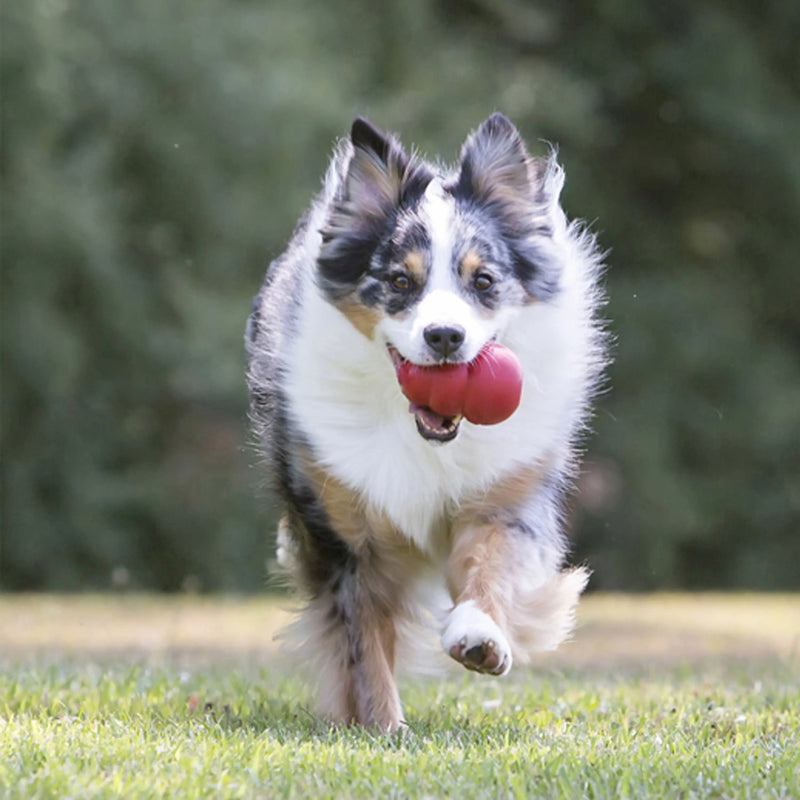 Classic Stuffed Dog Chew Toy, XXL