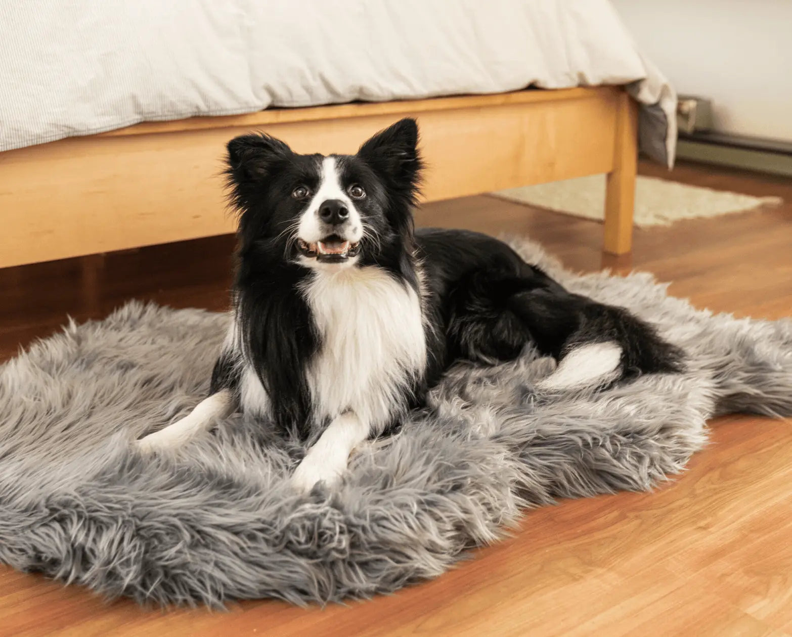 PupRug by Paw.com™ Faux Fur Orthopedic Dog Bed - Curve Charcoal Grey Paw.com