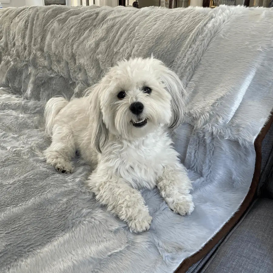 PupProtector™ Summer Short Fur Waterproof Throw Blanket - Grey Paw.com