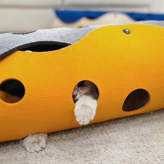 Cheese Cat Adventure Tunnel Dog Hugs Cat