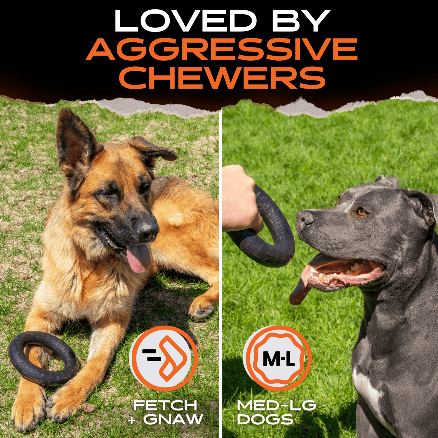 Chew Ring Monster K9 Dog Toys