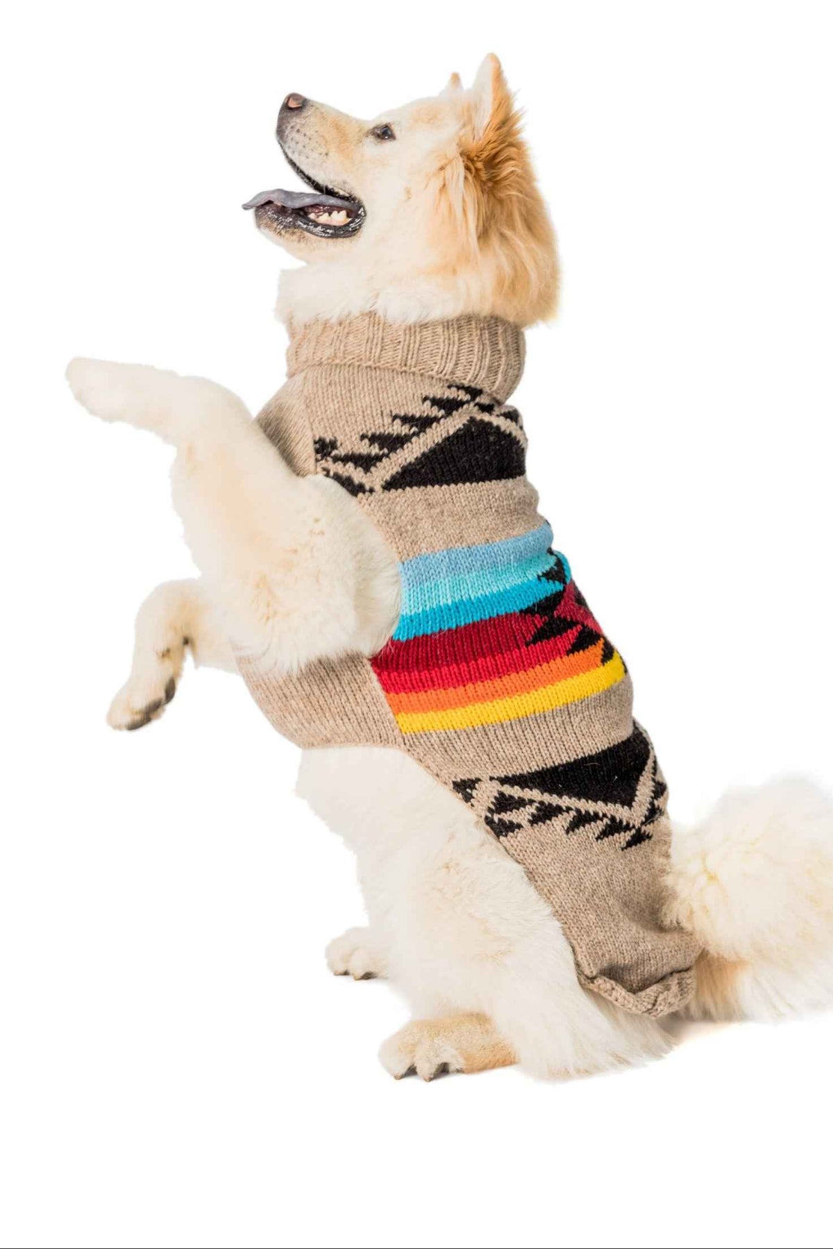 Painted Desert Dog Sweater