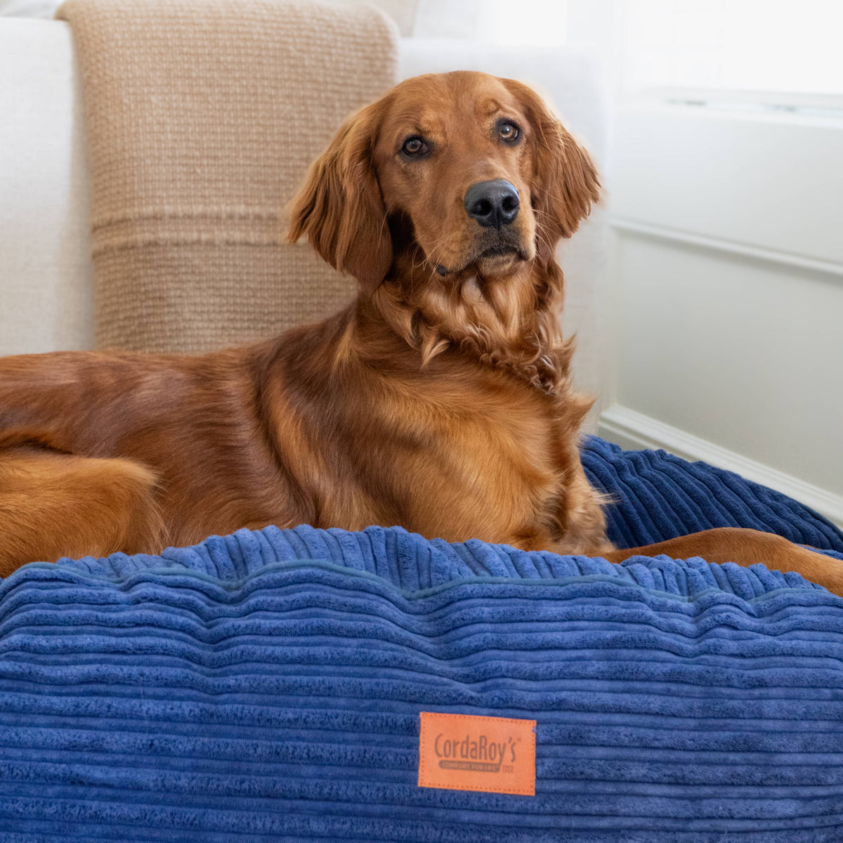 30 Inch Forever Dog Bed (Waterproof) - Terry Corduroy