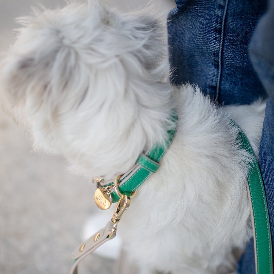 Collar - Vegan Leather Nina Woof
