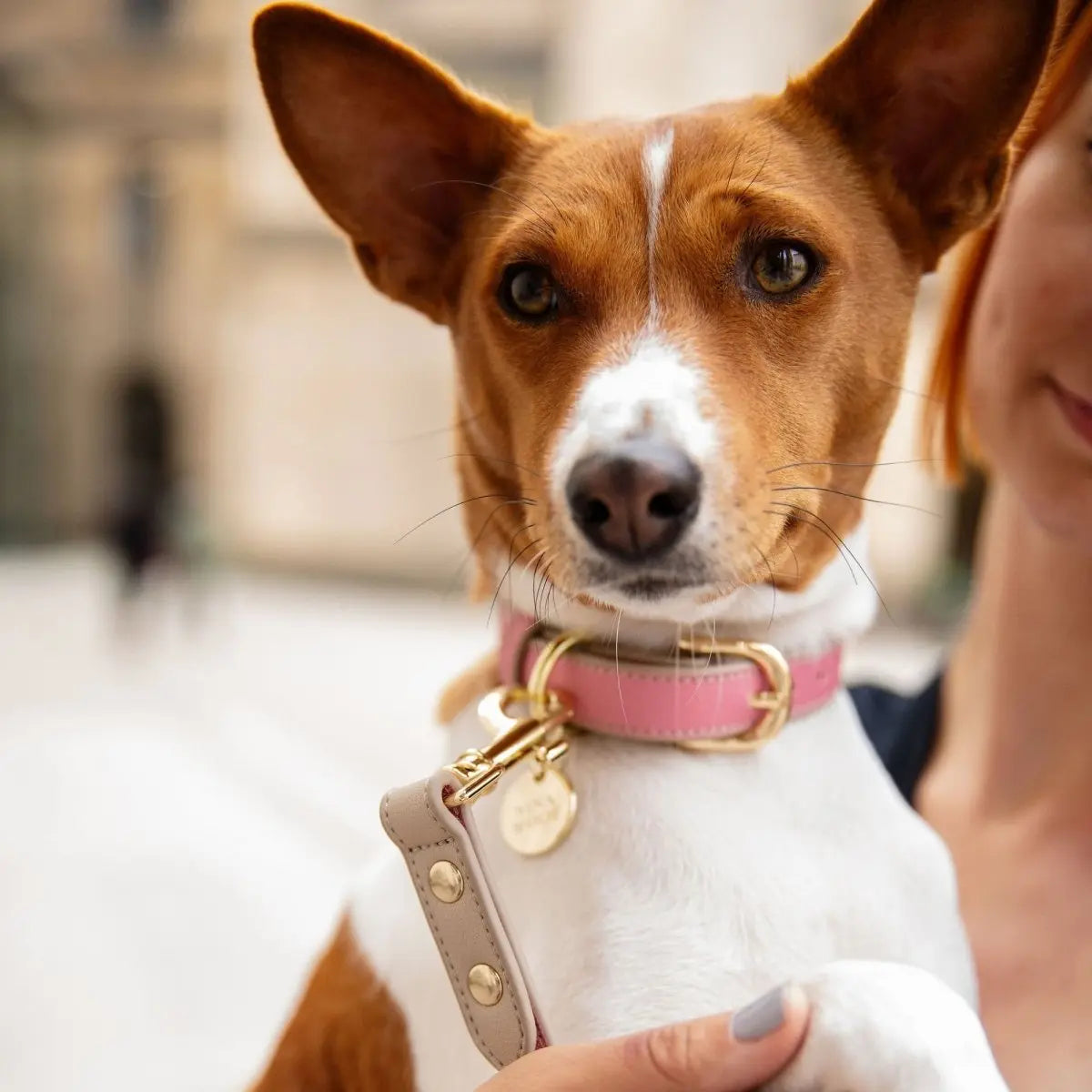 Collar - Vegan Leather Nina Woof