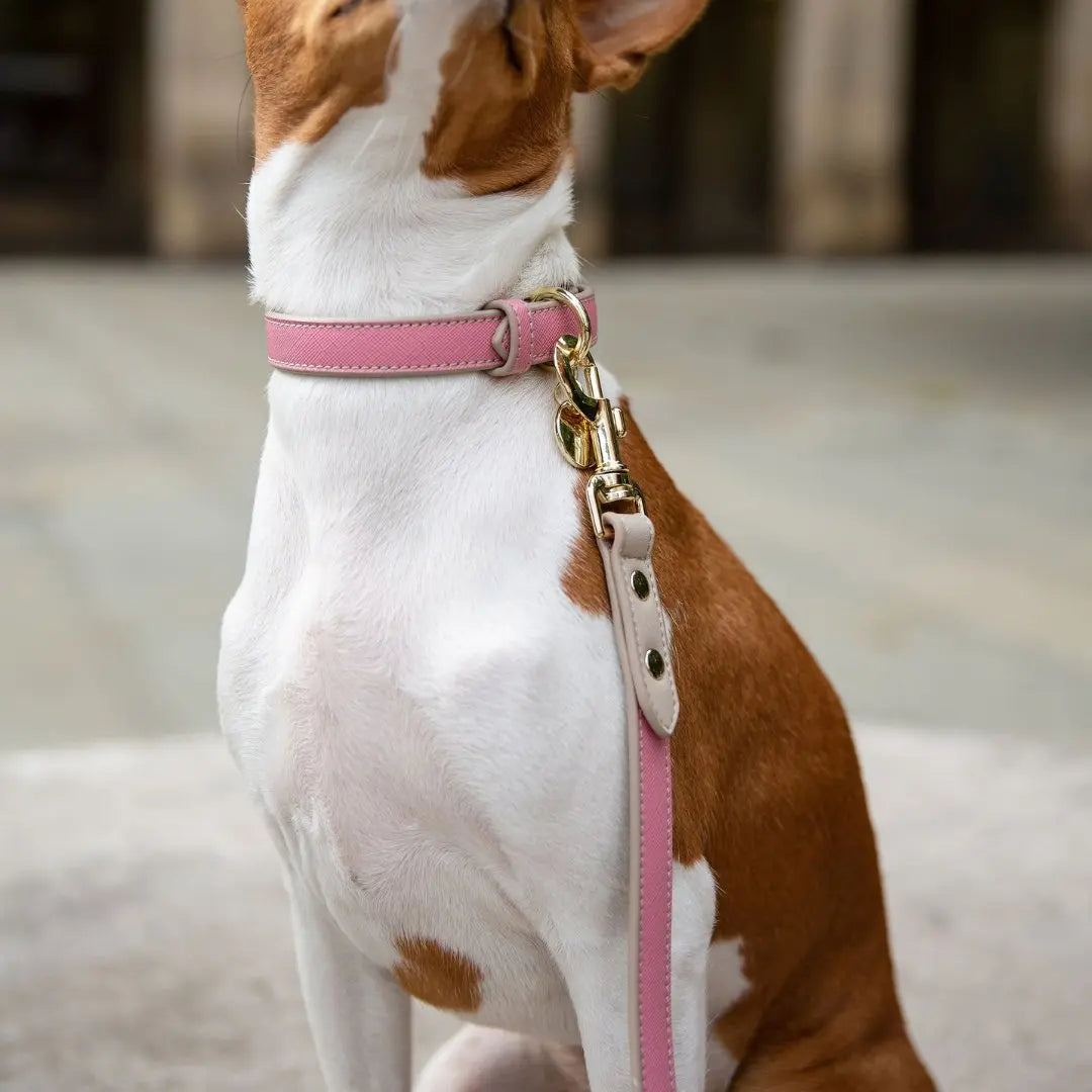Collar - Vegan Leather Nina Woof