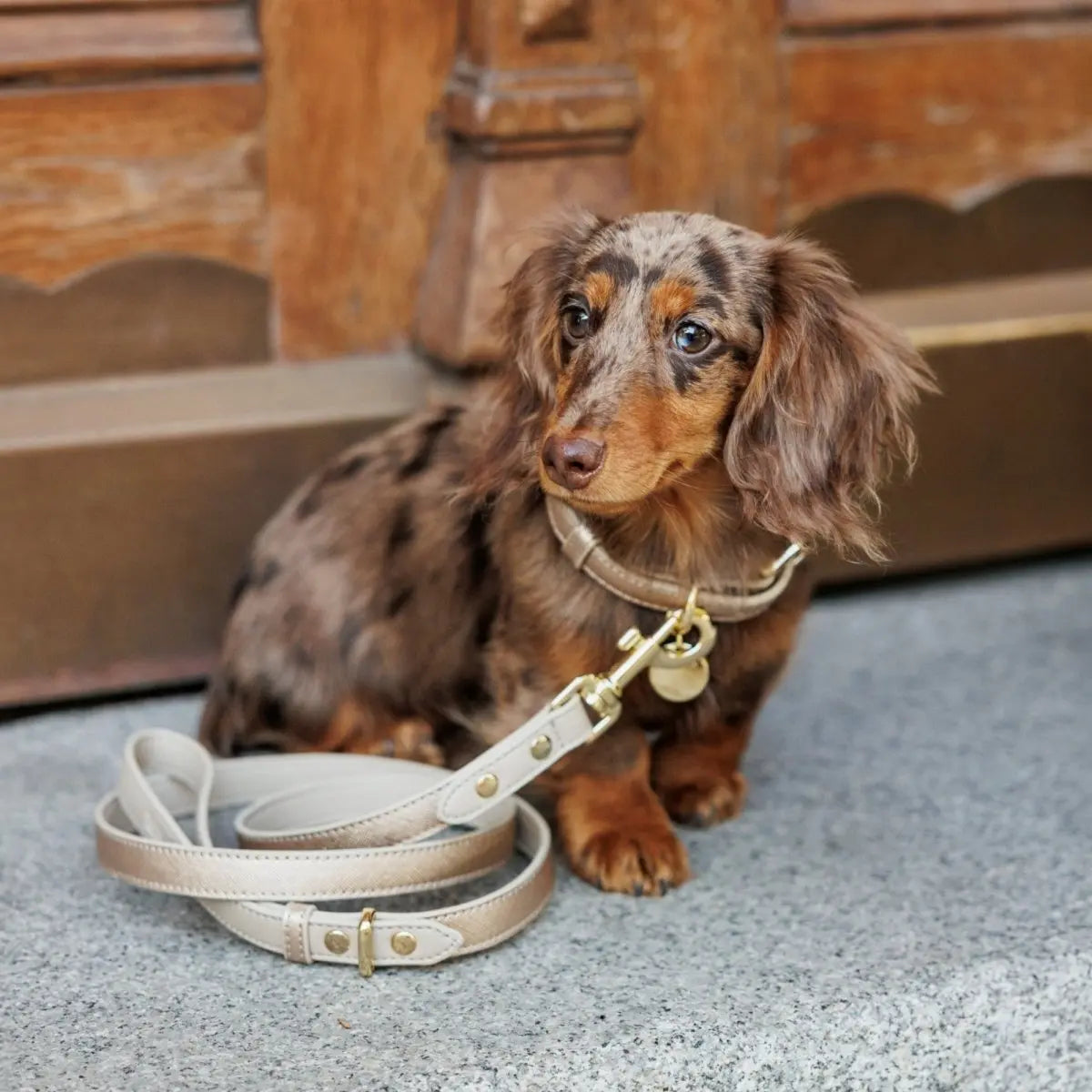 Collar - Vegan Leather Nina Woof