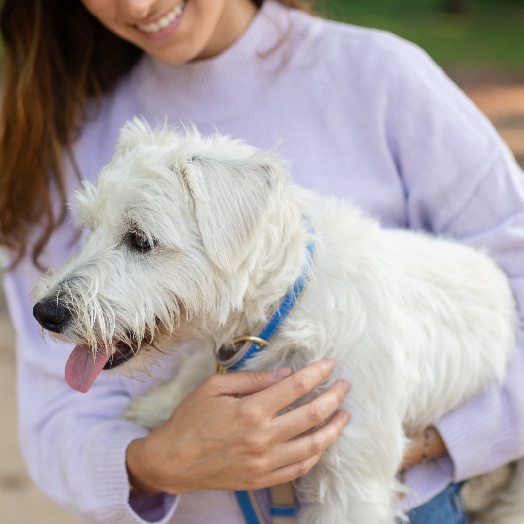 Collar - Vegan Leather Nina Woof