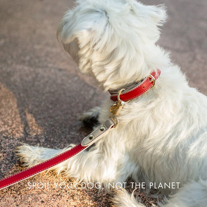 Collar - Vegan Leather Nina Woof