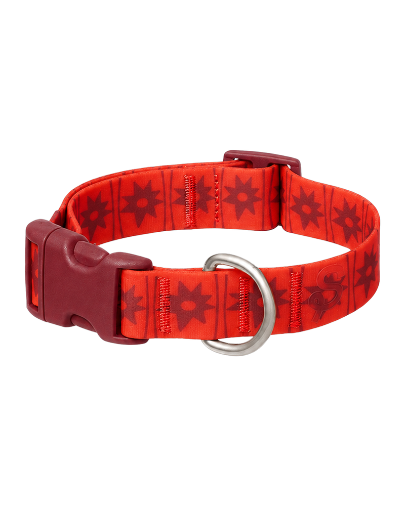 Waterproof Dog Collar