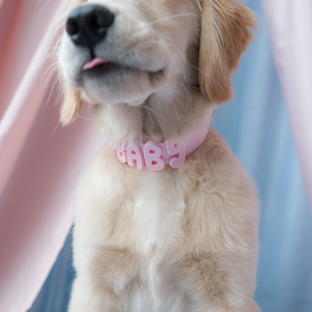 Waterproof Dog Collar