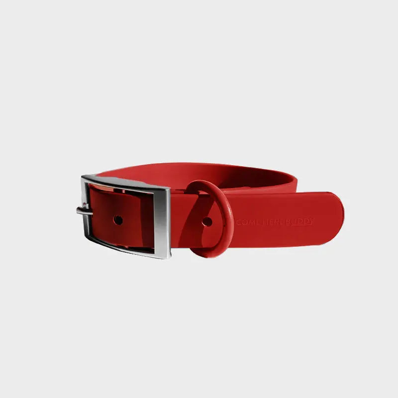 Everyday Collar - K9 Outdoors
