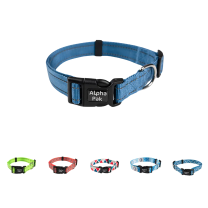 Everyday Adventure Dog Collar Alpha Pak