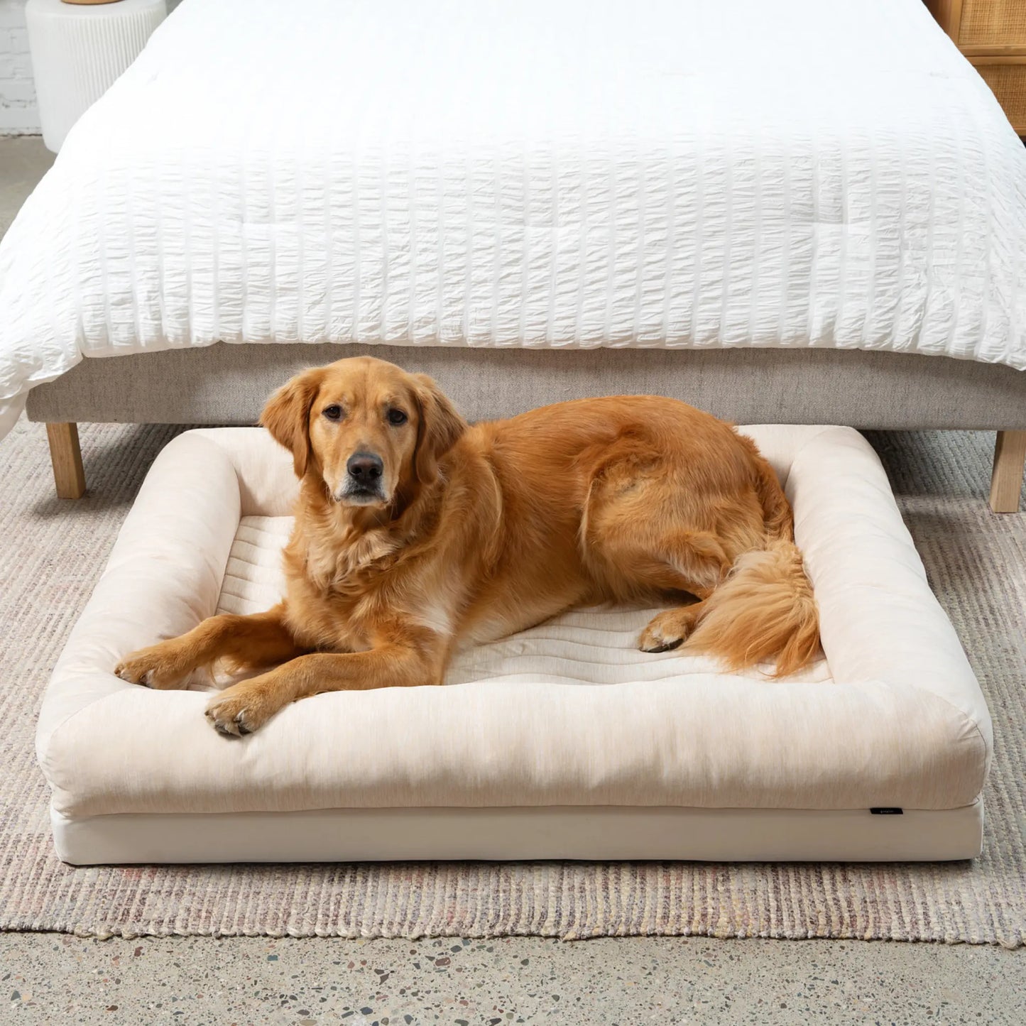 PupChill™ Cooling 4-Bolster Dog Bed - Arctic Sand Paw.com