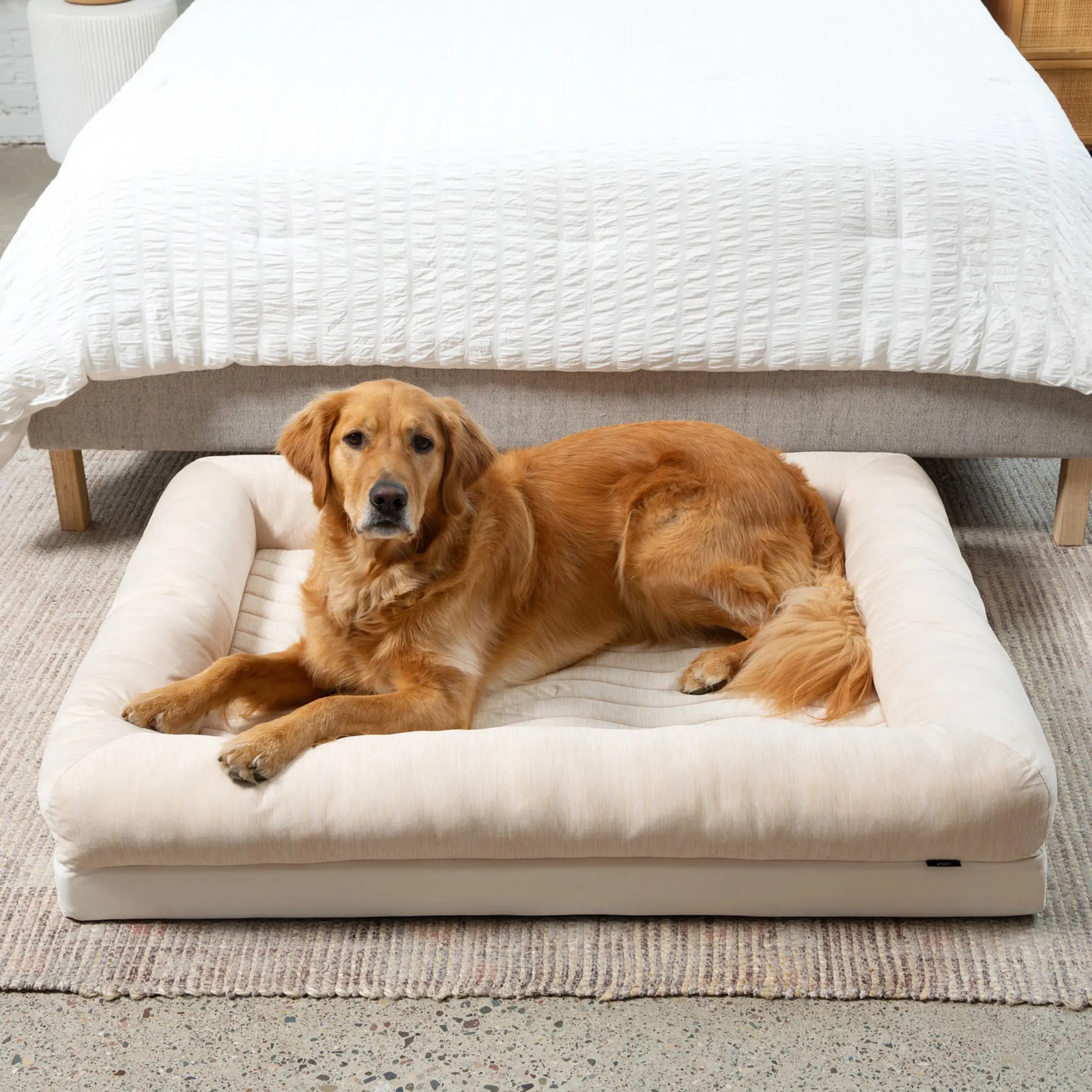 PupChill™ Cooling 4-Bolster Dog Bed - Arctic Sand Paw.com