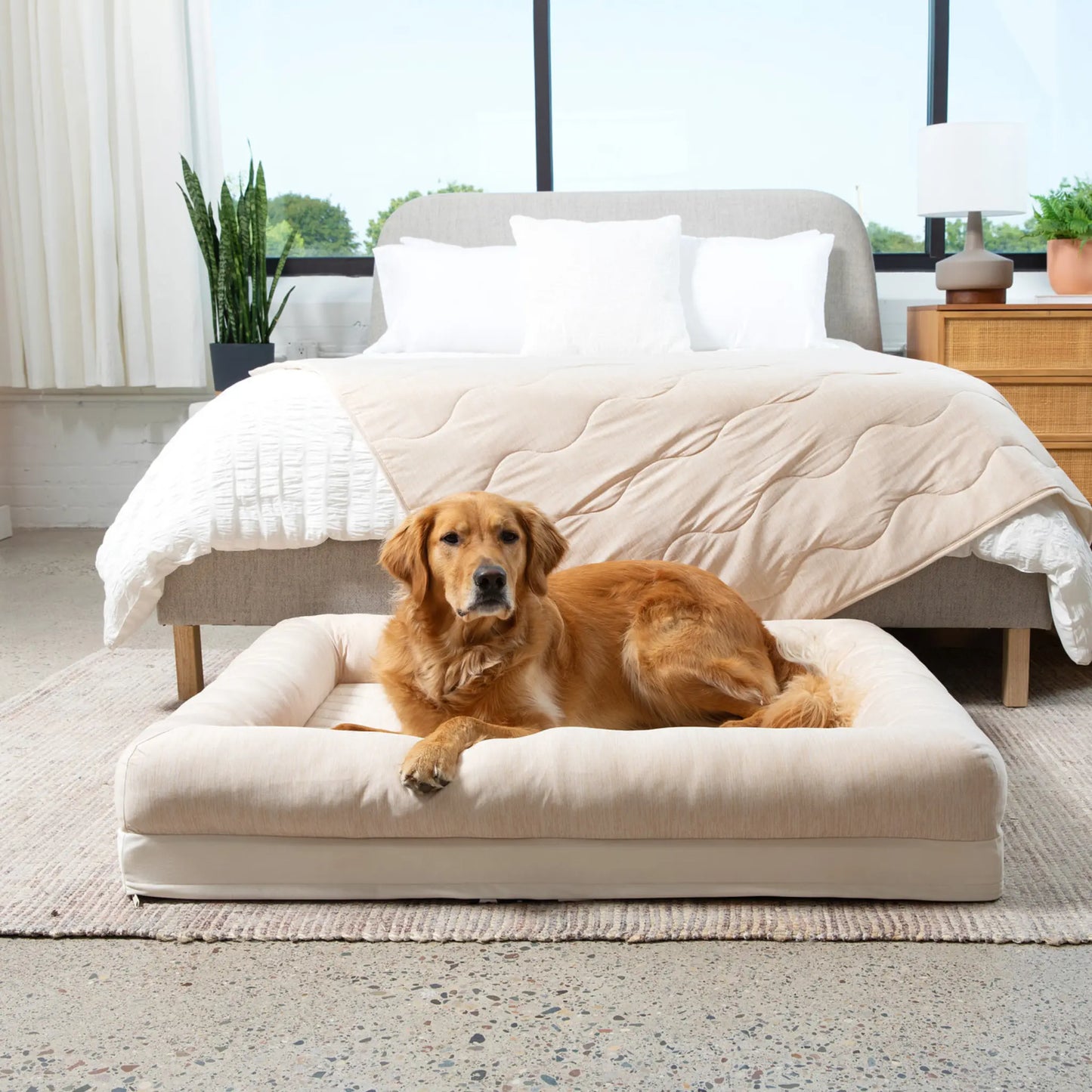 PupChill™ Cooling 4-Bolster Dog Bed - Arctic Sand Paw.com