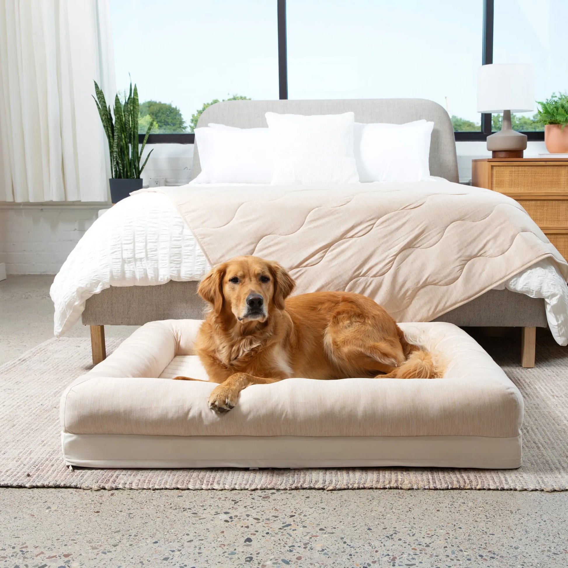 PupChill™ Cooling 4-Bolster Dog Bed - Arctic Sand Paw.com