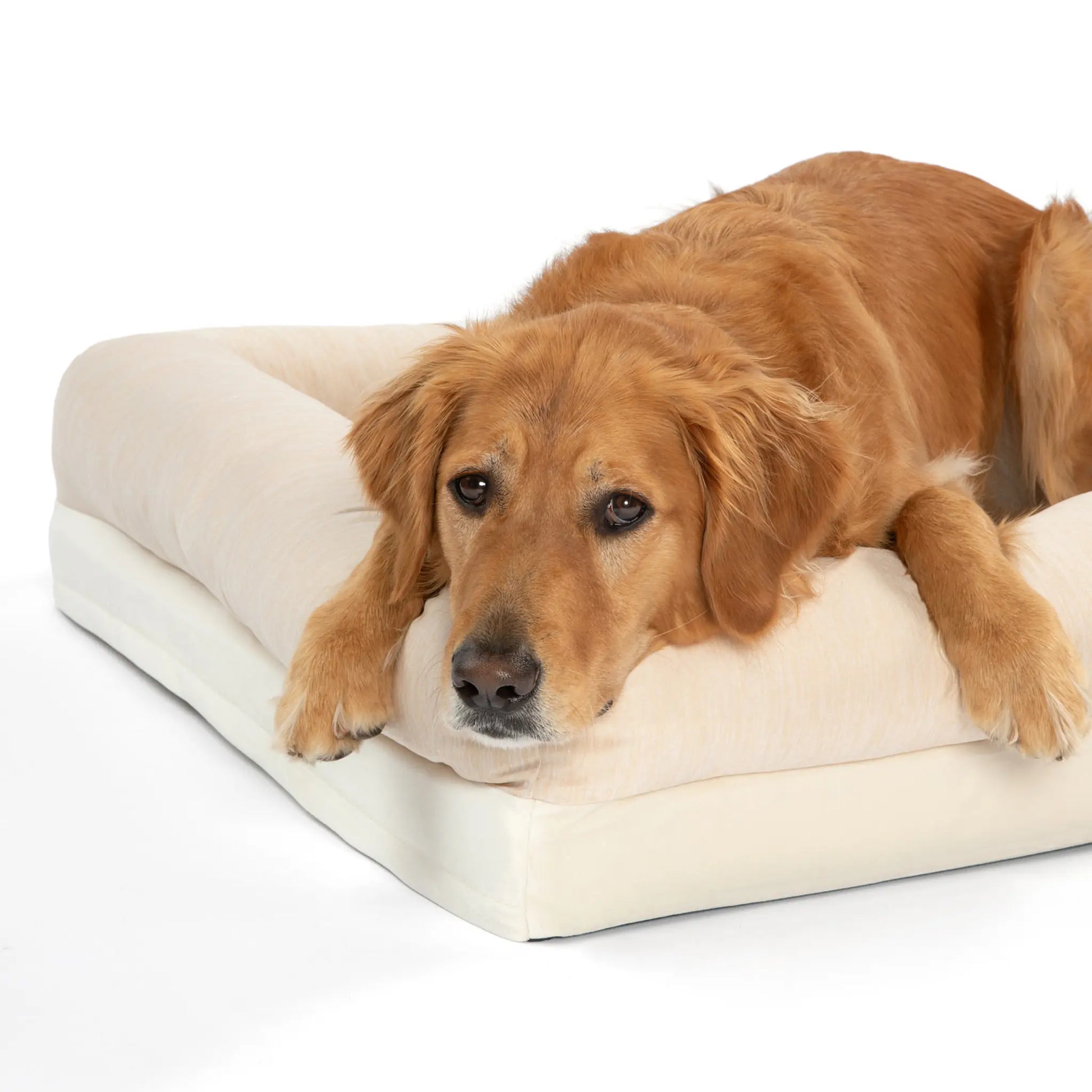 PupChill™ Cooling 4-Bolster Dog Bed - Arctic Sand Paw.com