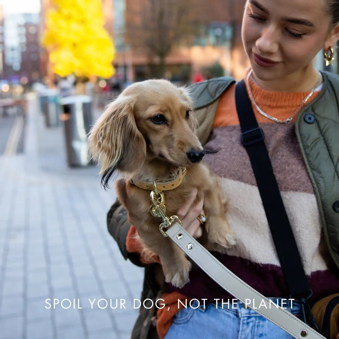 Collar - Vegan Leather - Copenhagen