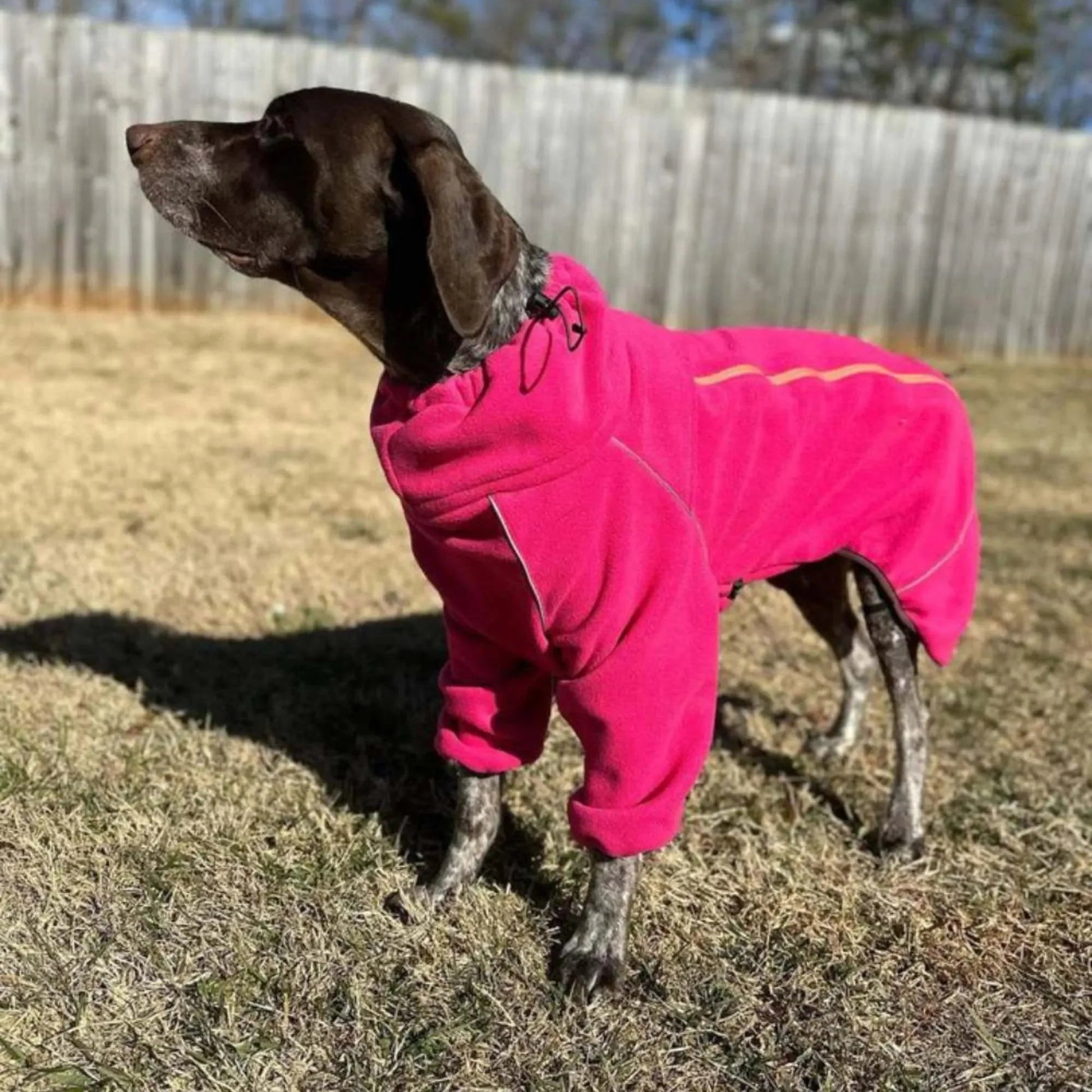 Cozy Hugger Jacket WOOFESSENTIAL