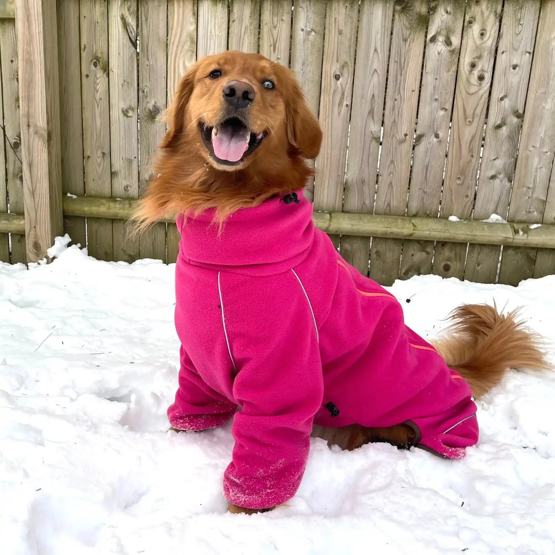 Cozy Hugger Jacket WOOFESSENTIAL