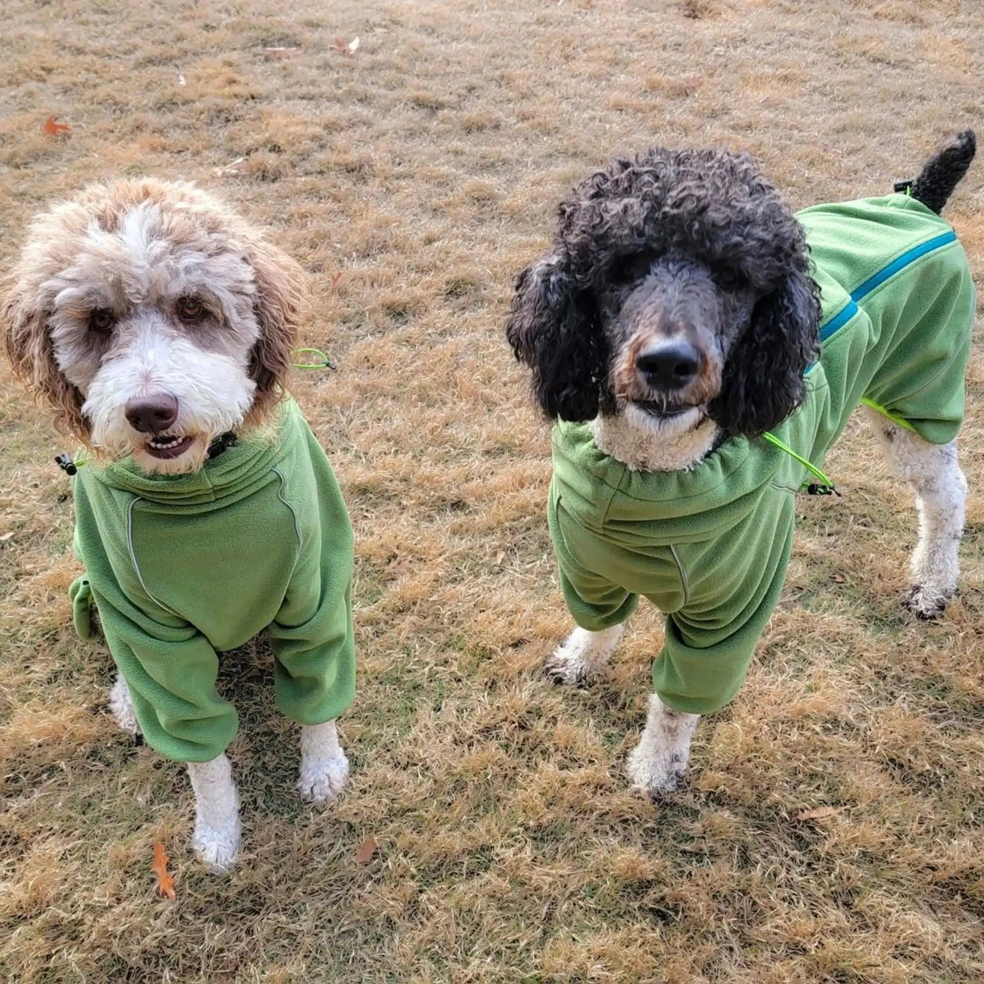 Cozy Hugger Jacket WOOFESSENTIAL