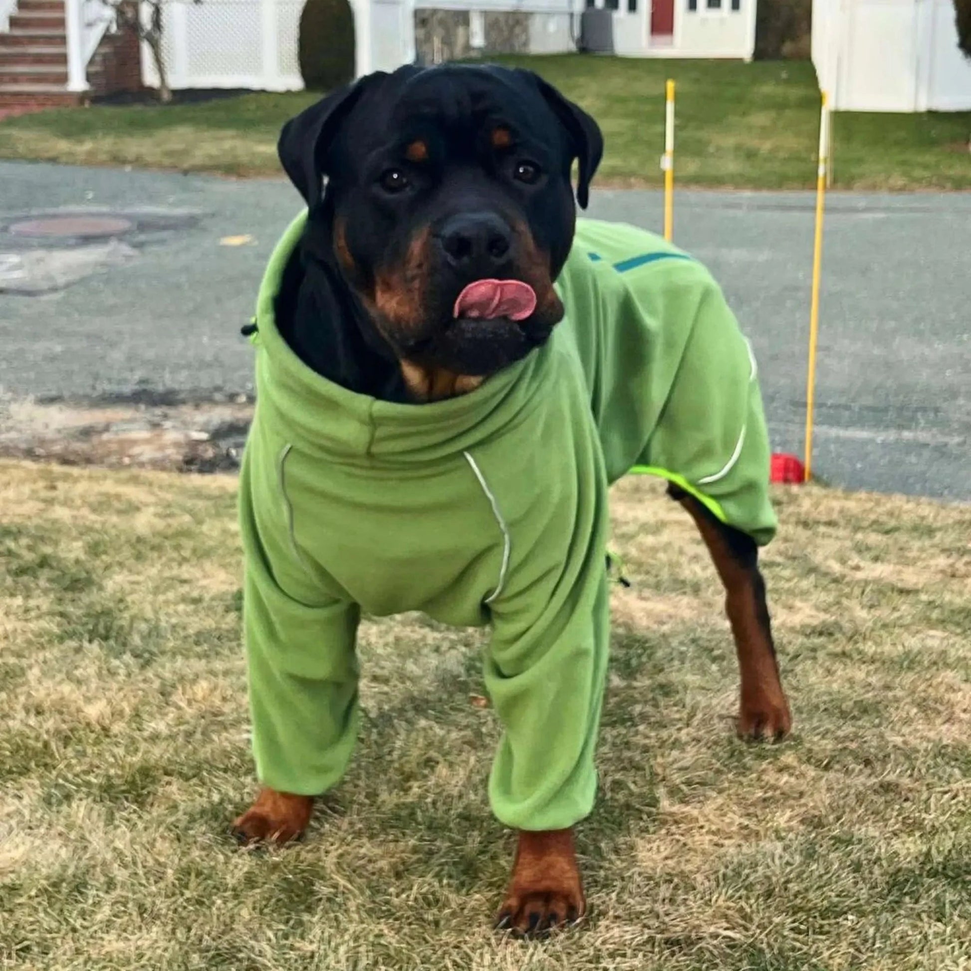 Cozy Hugger Jacket WOOFESSENTIAL