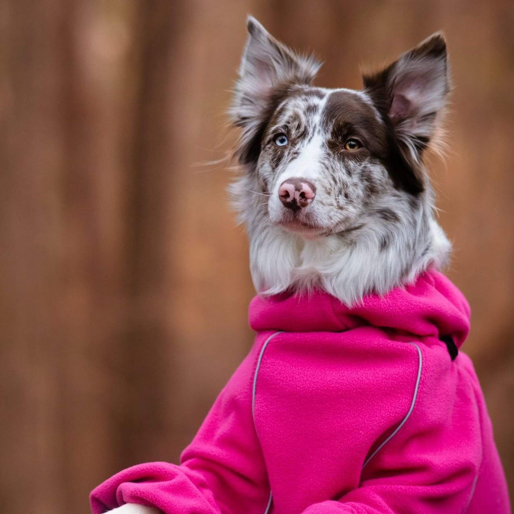 Cozy Hugger Jacket WOOFESSENTIAL