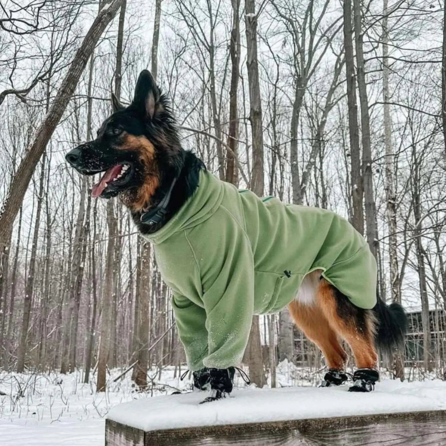 Cozy Hugger Jacket WOOFESSENTIAL