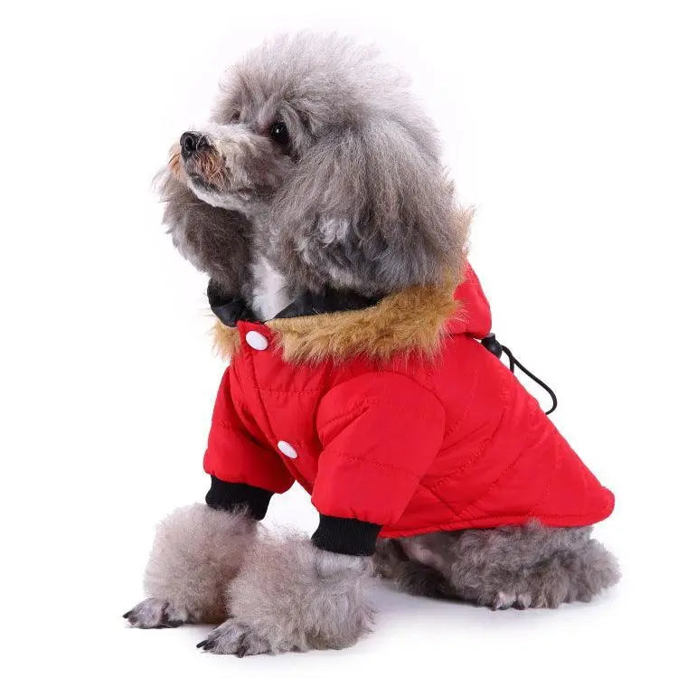 Cozypaws Winter Pet Jacket Dog Hugs Cat