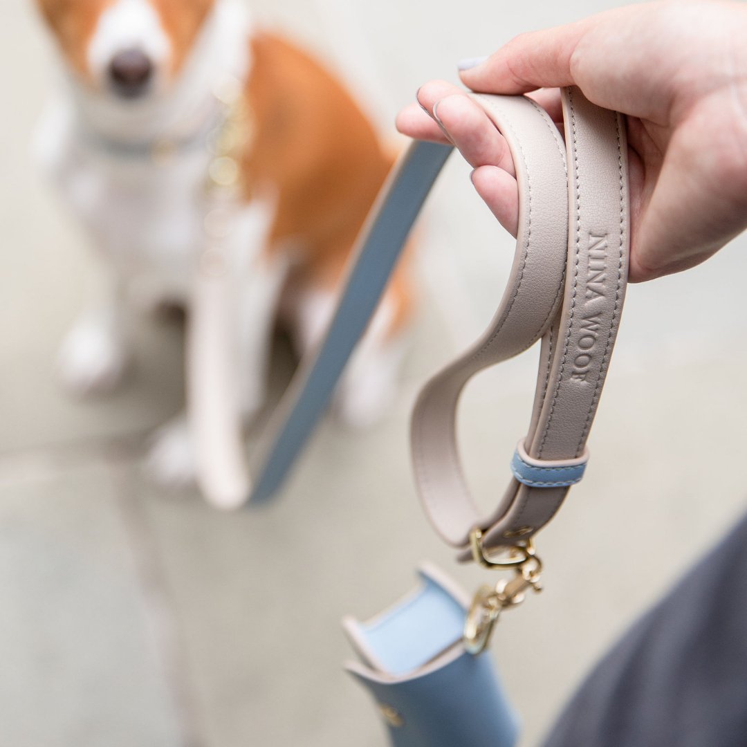 Leash 4ft - Vegan Leather - Cupertino Nina Woof