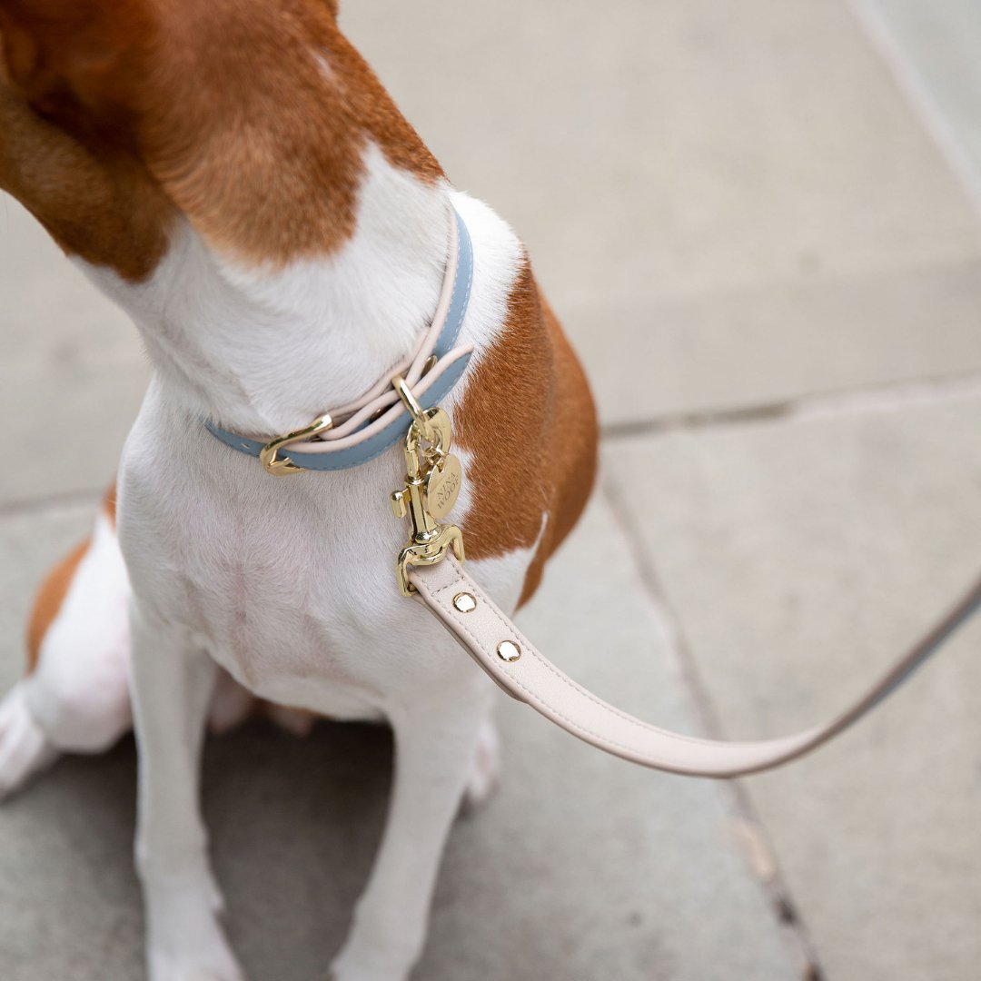 Leash 4ft - Vegan Leather - Cupertino Nina Woof