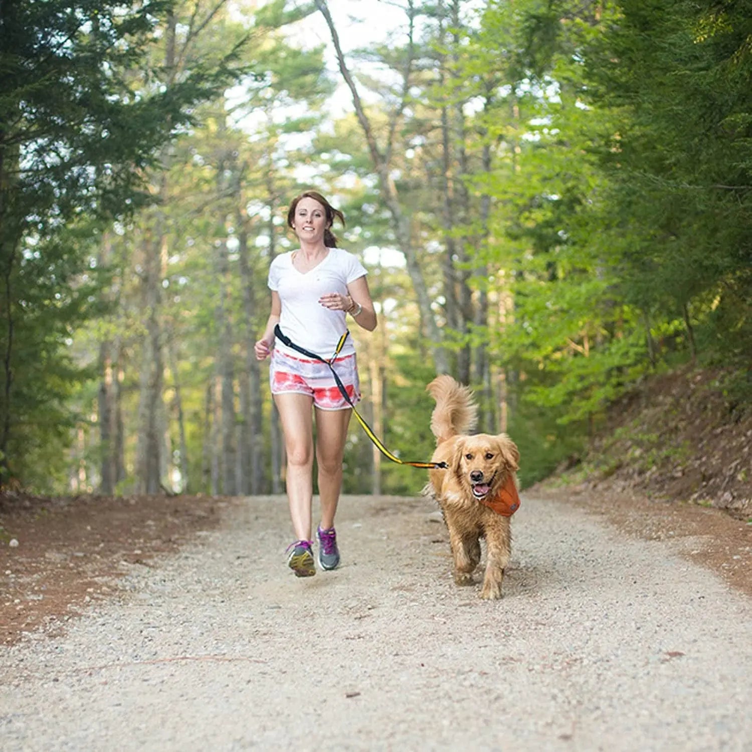 6 in 1 Hands Free Dog Leash |Reflective Running Belt Leash for Dogs |Crossbody & Waist Belt Leash |Carabiner Clip |Padded Handle for Training, Hiking or Jogging |Quantum Leash |6 Colors