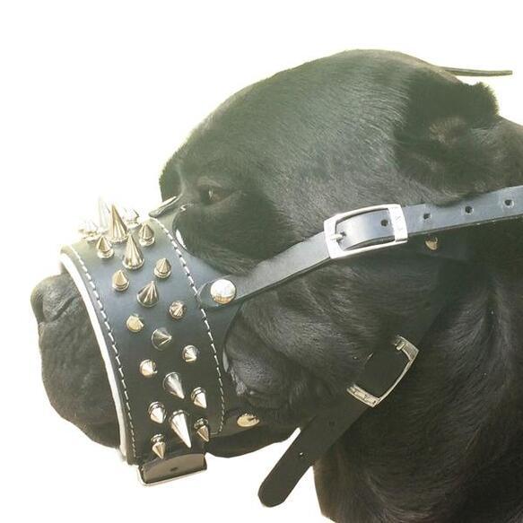 Bestia Danger Leather Muzzle