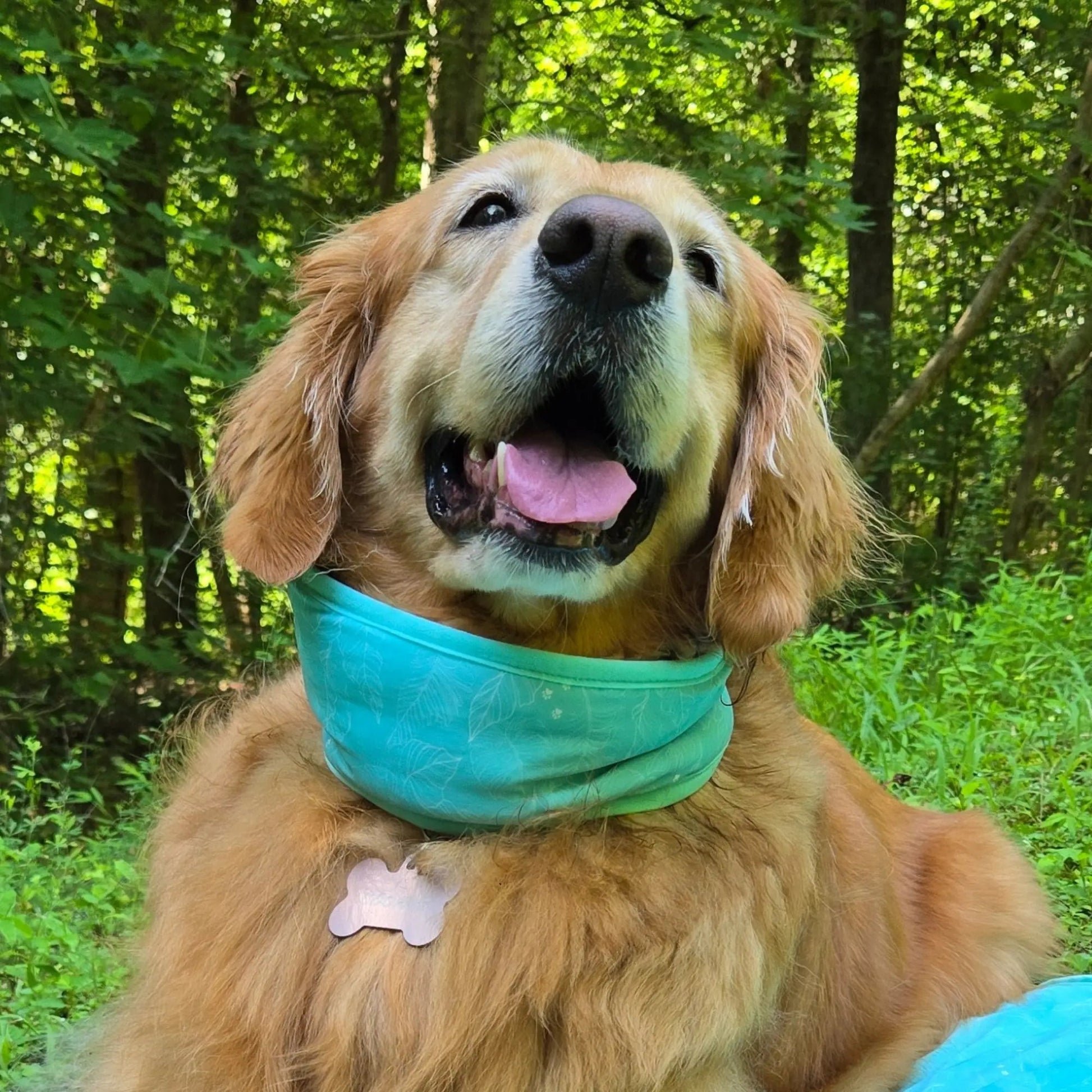 CoolingPals Dog Cooling Neck Gaiter WOOFESSENTIAL