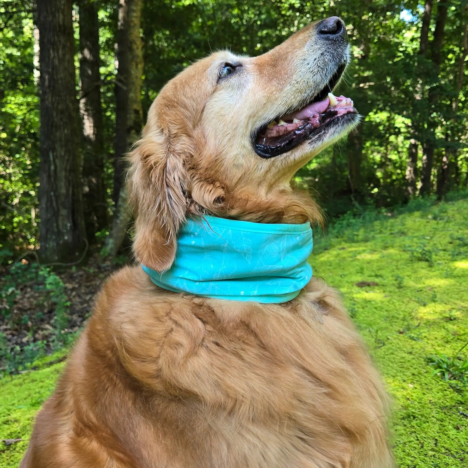CoolingPals Dog Cooling Neck Gaiter WOOFESSENTIAL