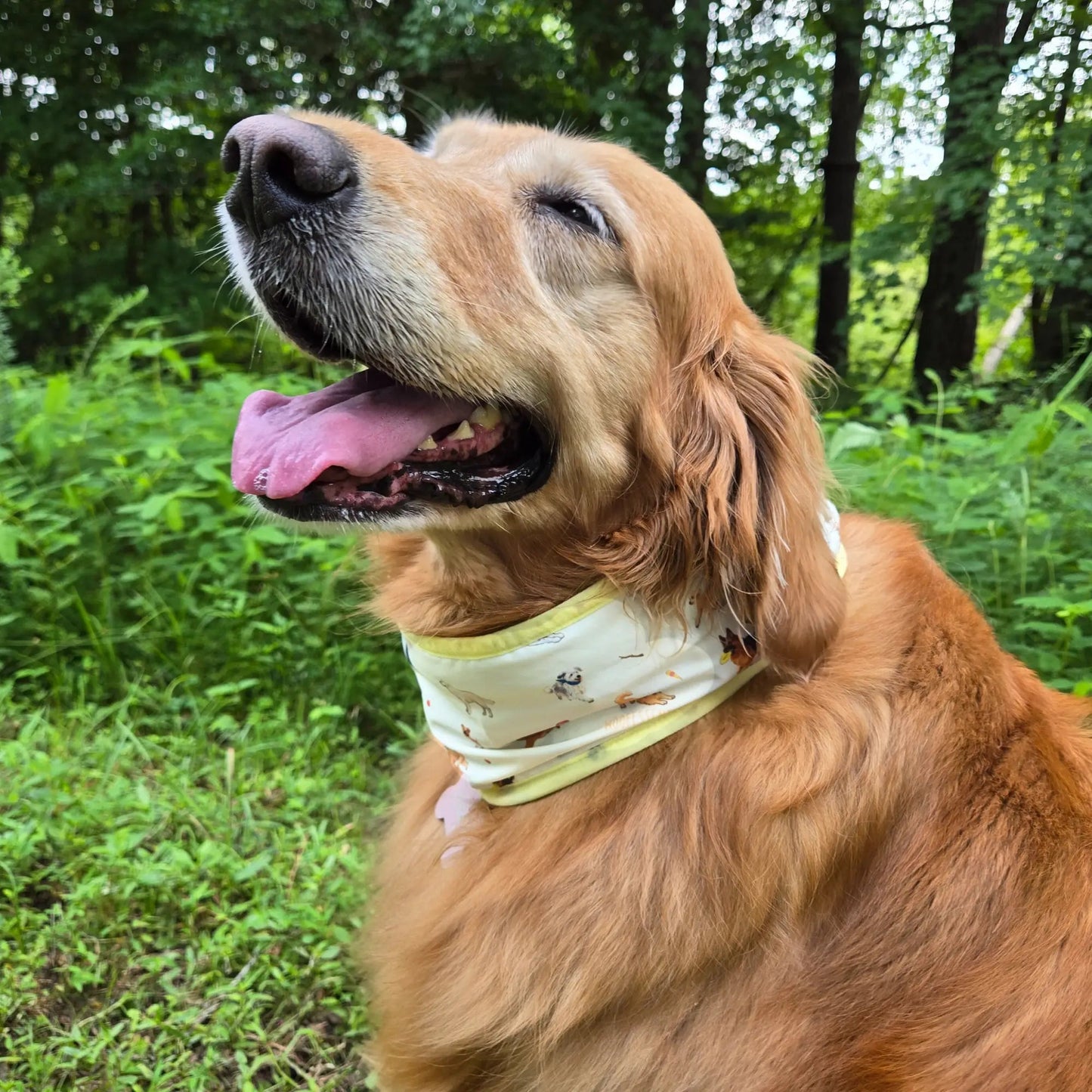 CoolingPals Dog Cooling Neck Gaiter WOOFESSENTIAL