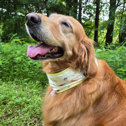 CoolingPals Dog Cooling Neck Gaiter WOOFESSENTIAL