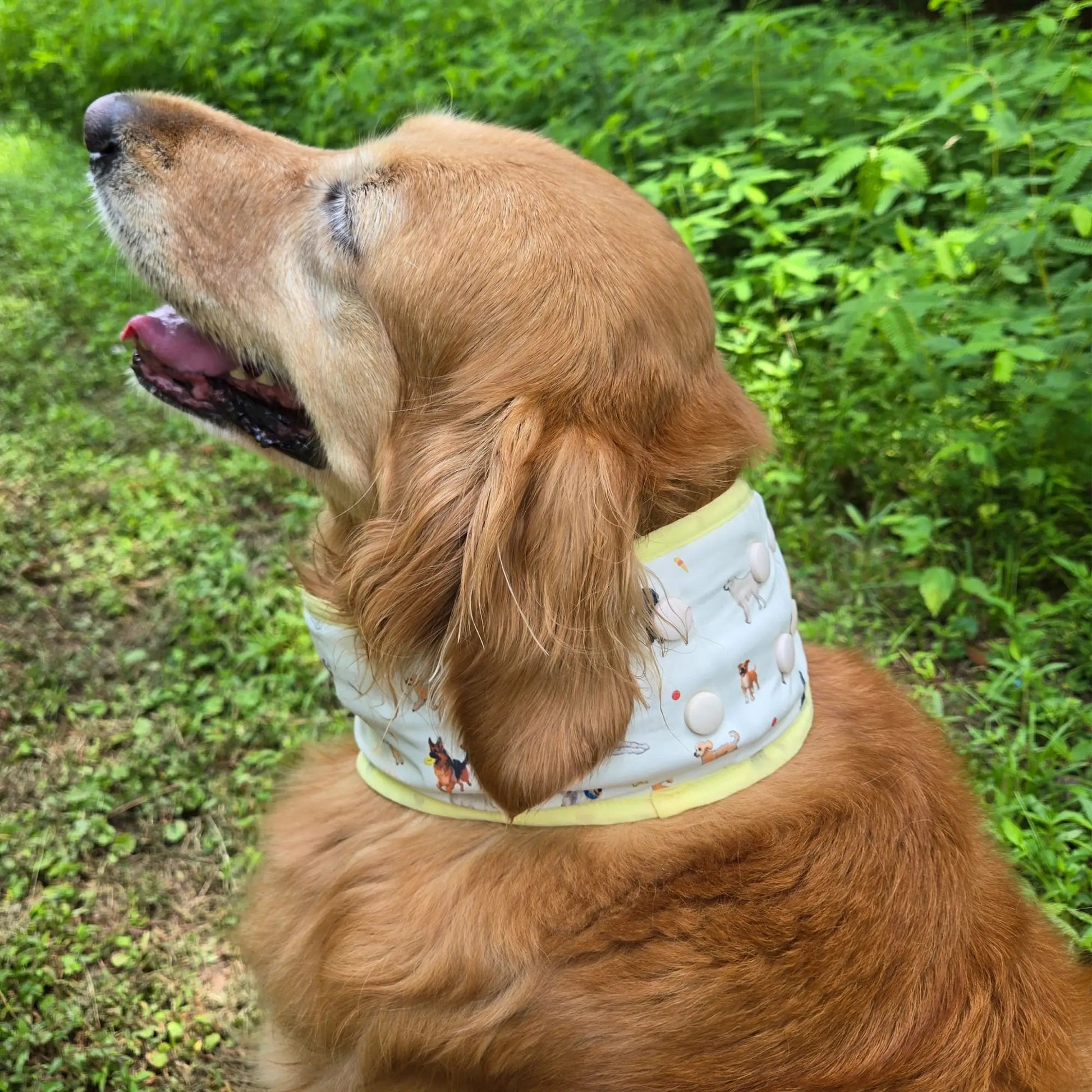 CoolingPals Dog Cooling Neck Gaiter WOOFESSENTIAL