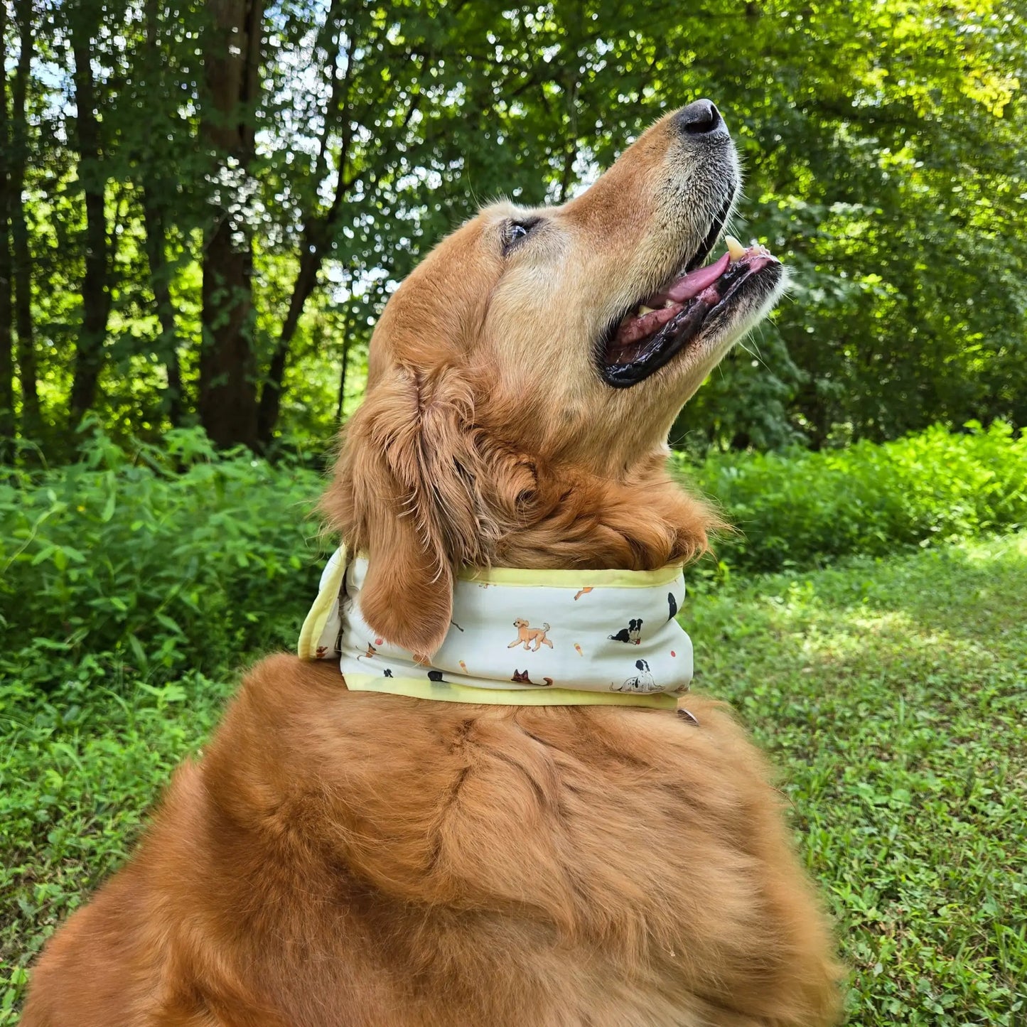 CoolingPals Dog Cooling Neck Gaiter WOOFESSENTIAL