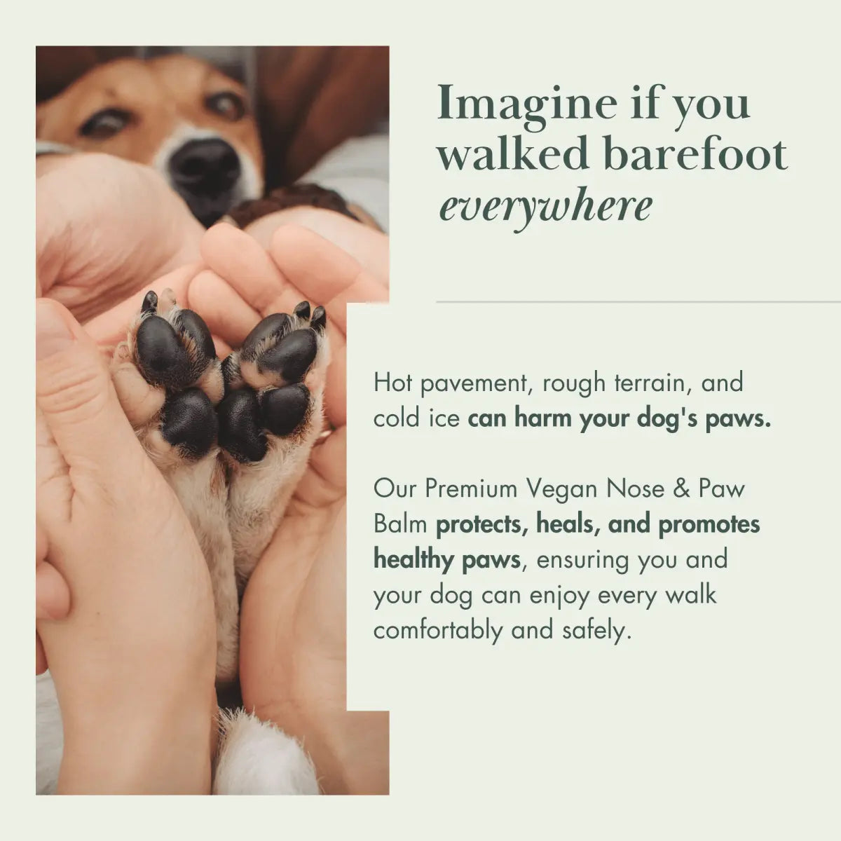 Dog Vegan Nose and Paw Balm